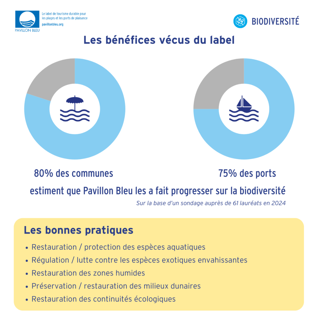 80% des communes et 75% des ports estiment que Pavillon Bleu les a fait progresser sur la biodiversité